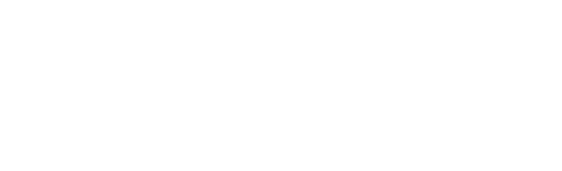 logo-11