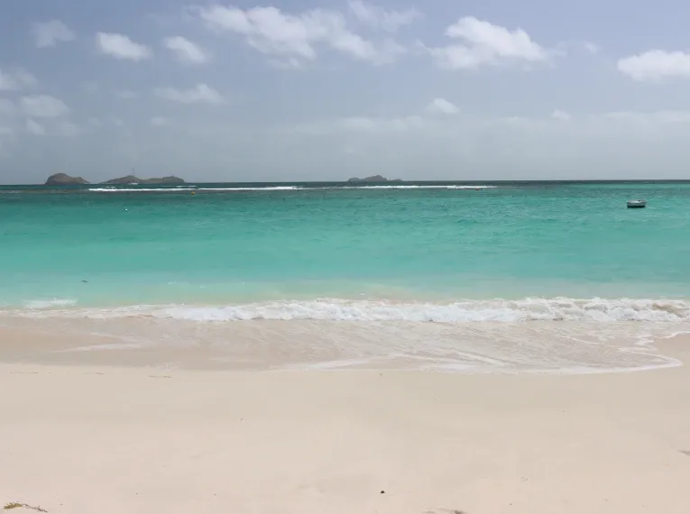 5_bottom1x_28d12b6e8a