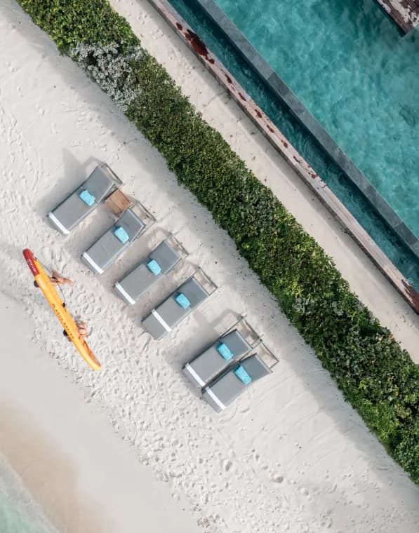 7_top_1x_3_ba97d62708