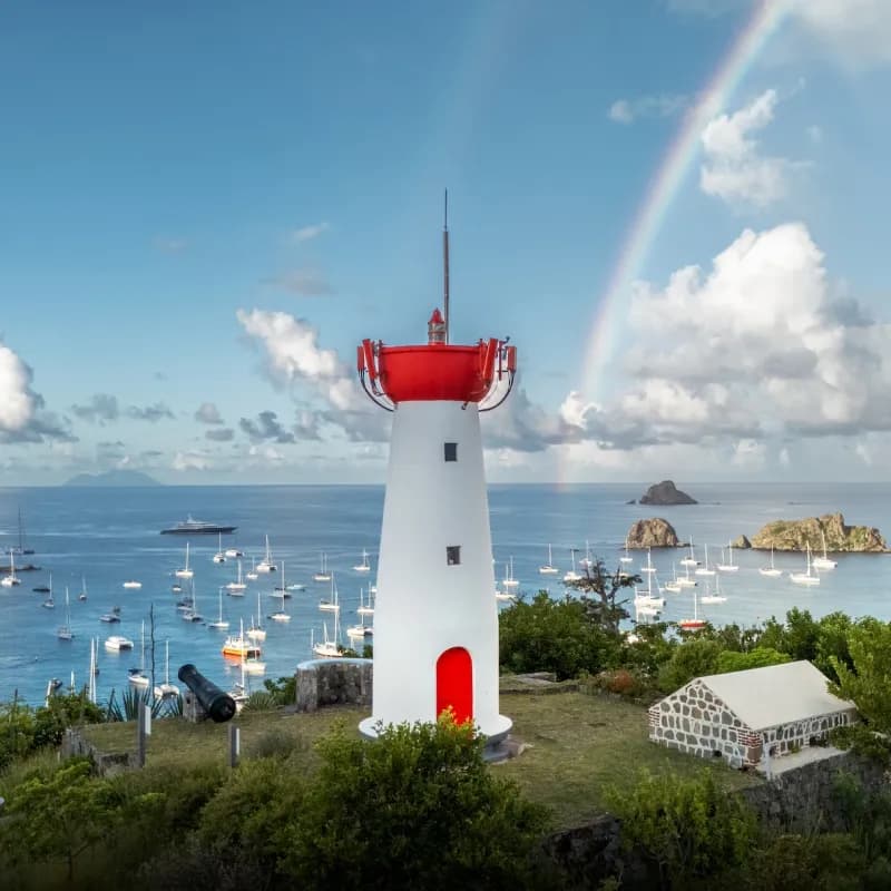 thumbnail_1x_19c5de9565