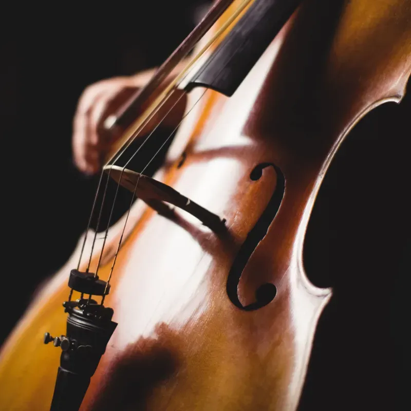 thumbnail_f625a991ed