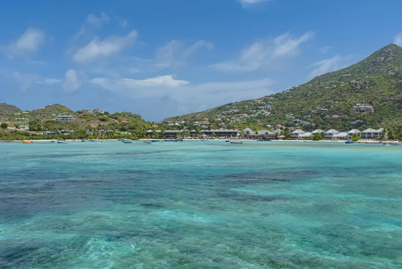 2_first1x_41ed843cf3