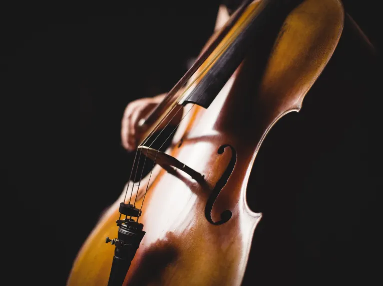 3_top_1x_1_c33fc683a7