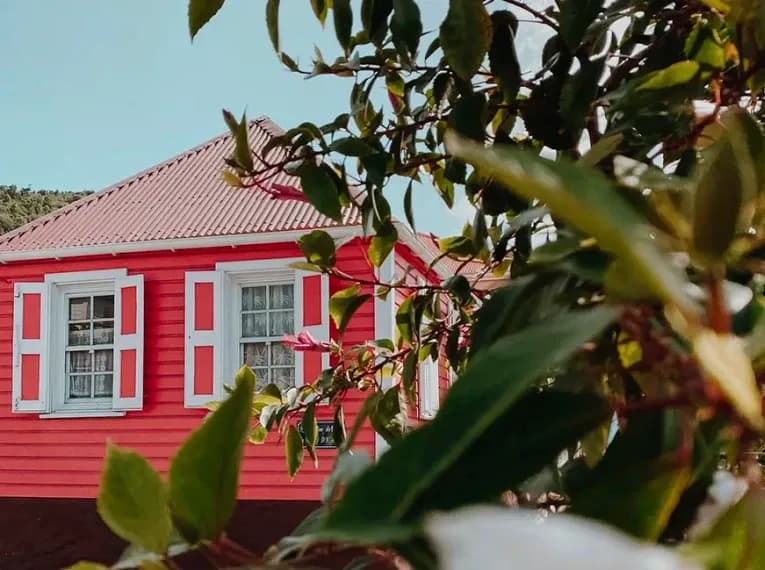 5_bottom1x_566d7f9e60