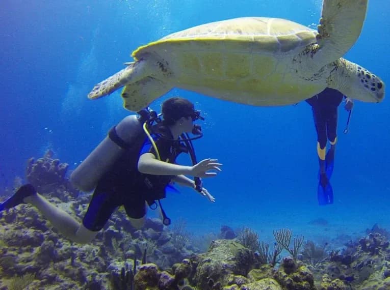 5_bottom1x_9fbf0fa539