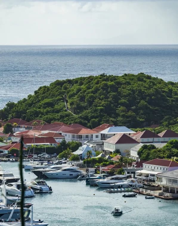 8_bottom1x_3146dc7f8f