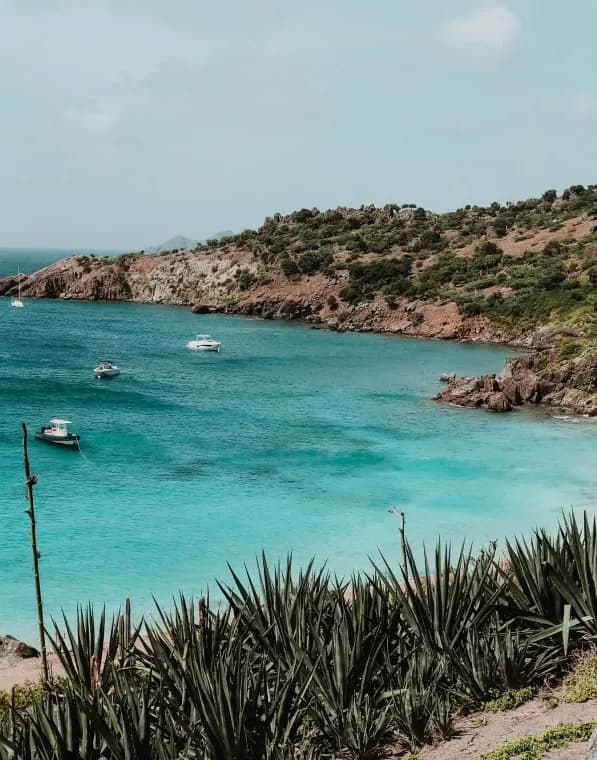 8_bottom1x_9e96a6f6df